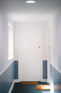 white flush door