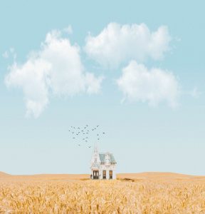 house in the middle of crop field