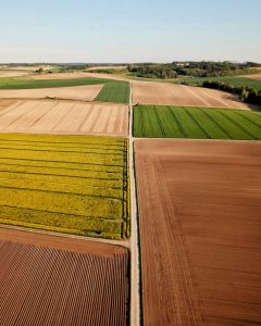 different colorful agricultural fields under sky in countryside